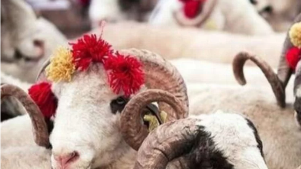 Uzmanı uyardı! Kurban etlerini böyle saklayın
